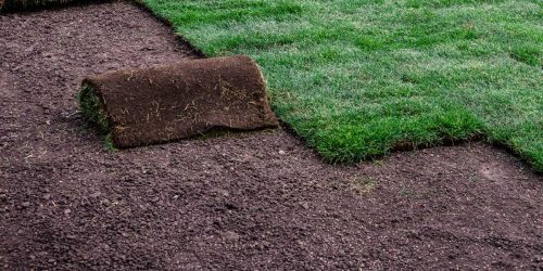 Sod Installation Free Estimate Sod Installation Free Estimate