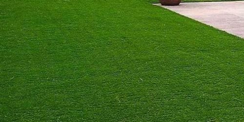 Artificial Turf Installation