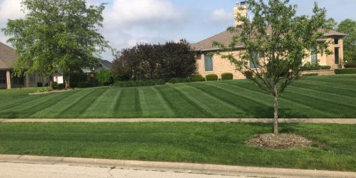 Lawn Maintenance