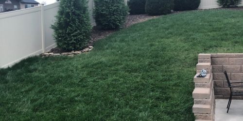 Sod Installation, Sod Installer, Sod Company, Sod Contractor
