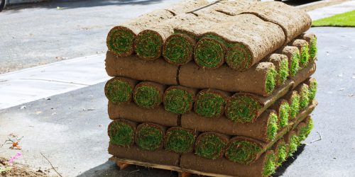 Sod Installation, Sod Installer, New Sod, Sod Company, Sod Contractor Sod Installation, Sod Installer, Sod Company, Sod Contractor