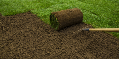 Sod Installation, Sod Installer, Sod Company, Sod Contractor Sod Installation, Sod Installer, Sod Company, Sod Contractor