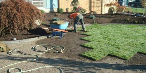 Sod Installation, Sod Installer, New Sod, Sod Company, Sod Contractor Sod Installation, Sod Installer, Sod Company, Sod Contractor